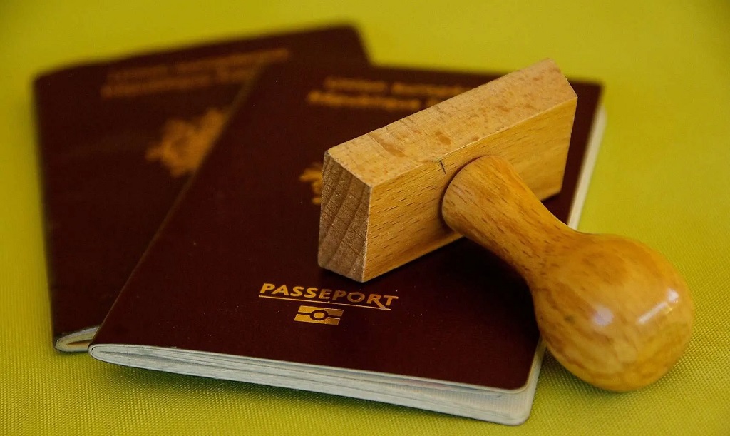 What is a Travel Document Number