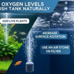 Fish tank with strong surface agitation to increase dissolved oxygen