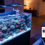 best LED reef aquarium lighting setup for coral growth