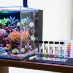 A vibrant coral reef aquarium next to a home water testing kit.